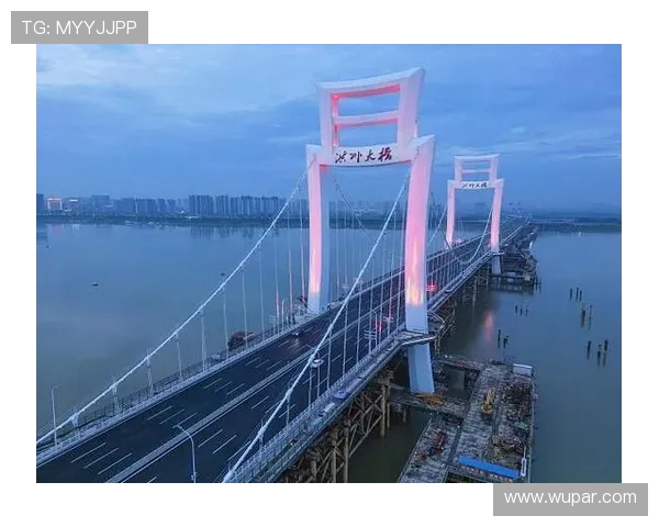 洪州大桥见证万人双向奔赴 南昌夜跑点燃全城热恋(3) 洪州大桥见证万人双向奔赴 南昌夜跑点燃全城热恋(3)